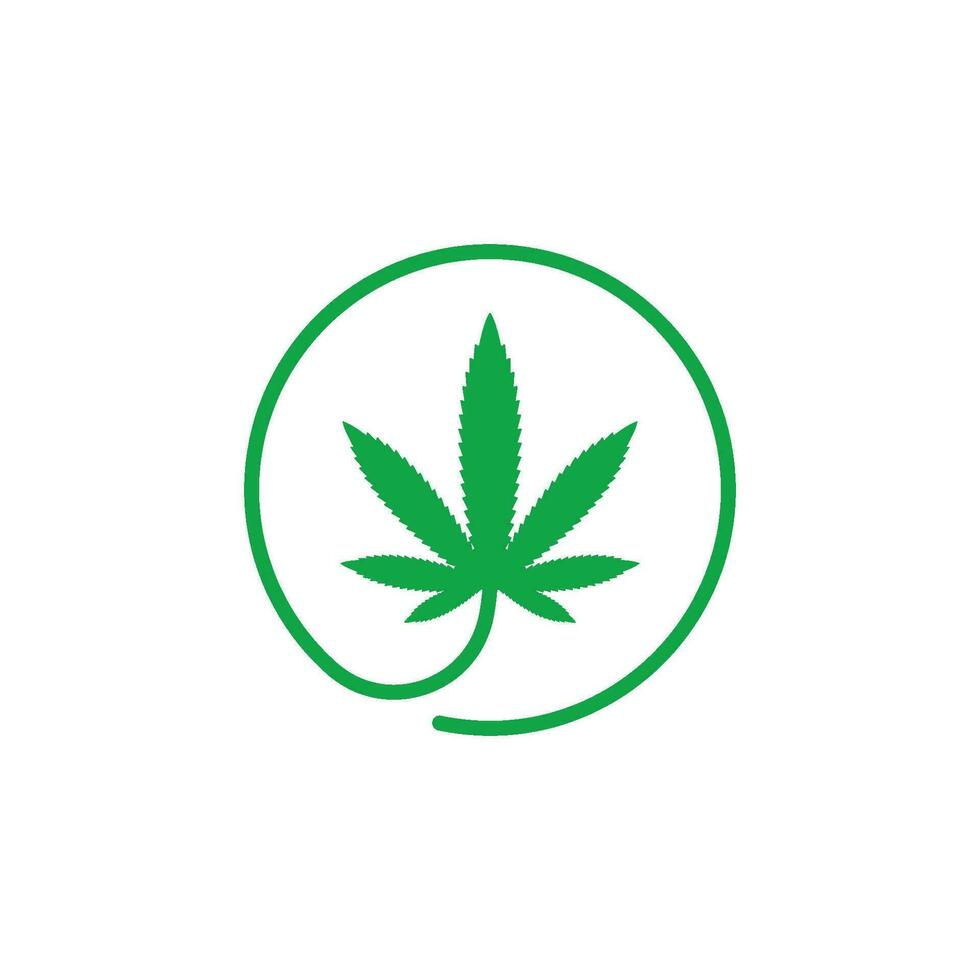 cannabis feuille vecteur icône illustration conception