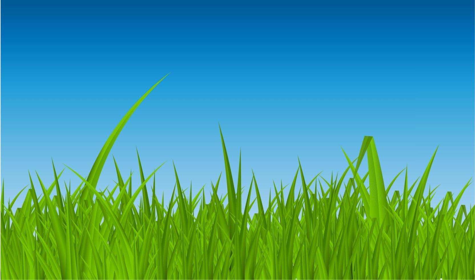 abstrait d'été avec de l'herbe. illustration vectorielle. vecteur