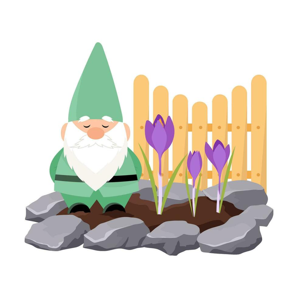 jardin gnome dans vert vêtements dans crocus fleurs dans une fleur lit. jardin décor. vecteur