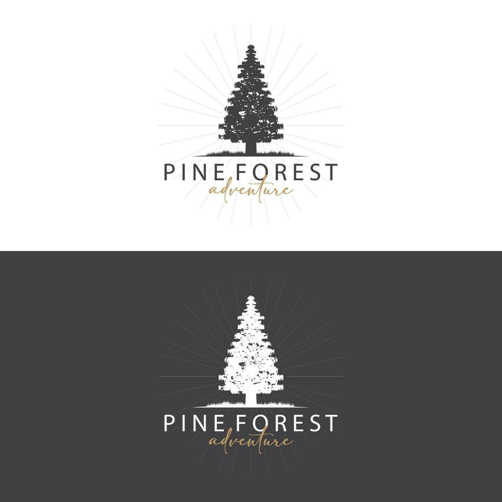 forêt logo, vecteur forêt bois avec pin des arbres, conception inspirant badge étiquette illustration