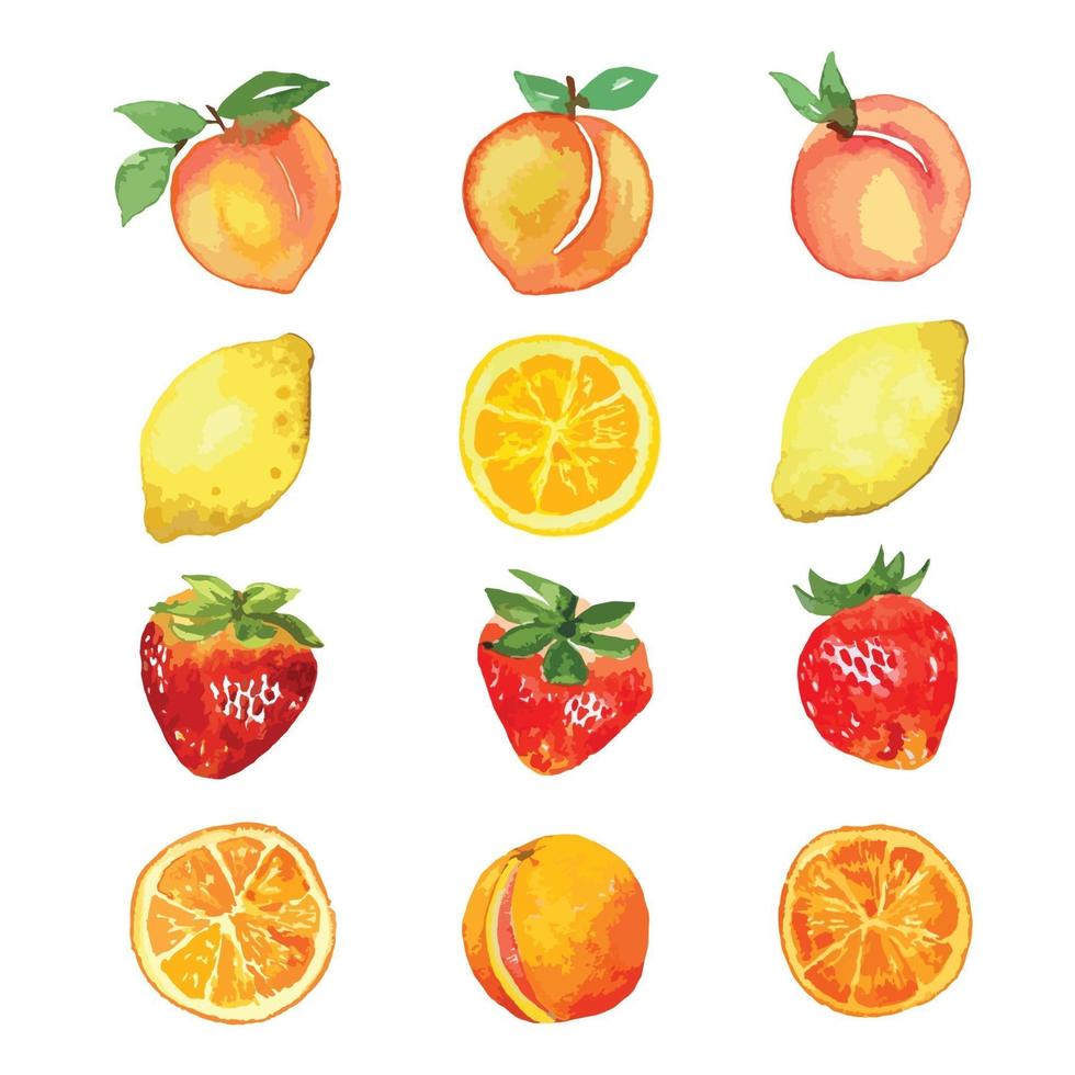 aquarelle de fruits mélangés, pêche, orange, fraise, vecteur de citron