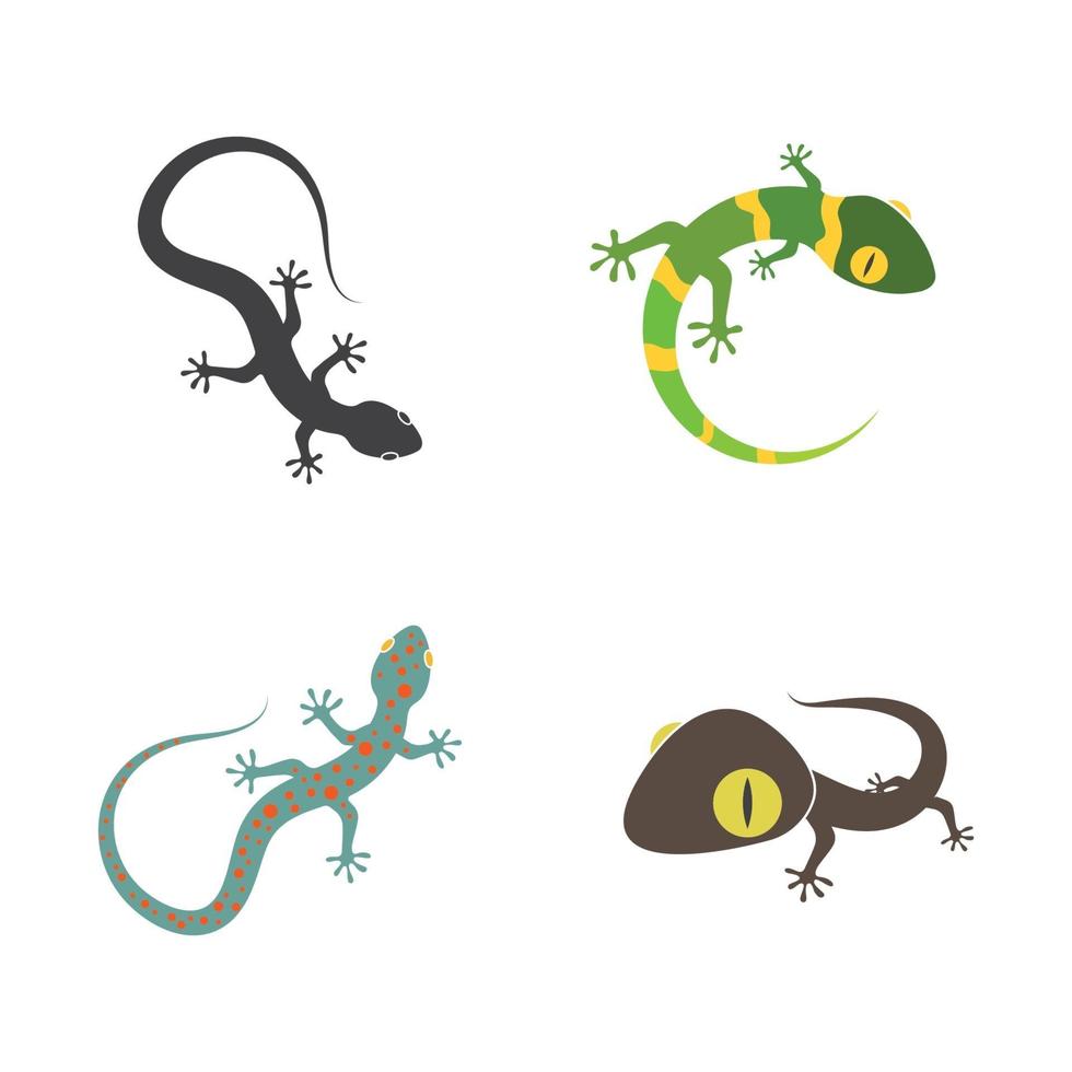 logo gecko icône illustration vectorielle vecteur