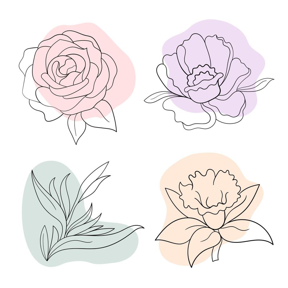 graphiques fleurs pivoine, rose, strelitzia, jonquille vecteur