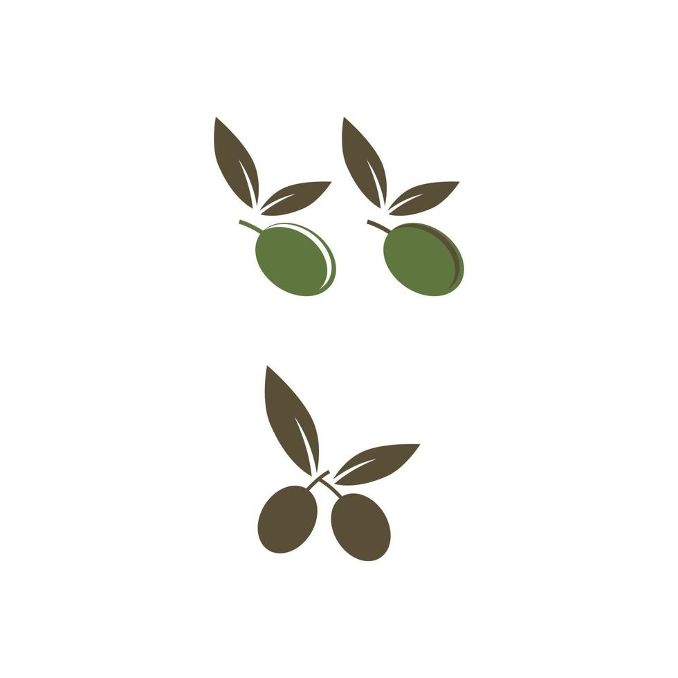 modèle de conception olive icône vector illustration