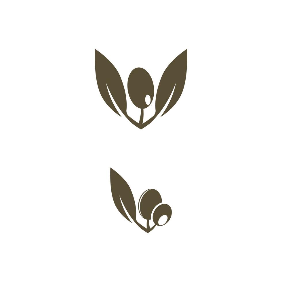 modèle de conception olive icône vector illustration