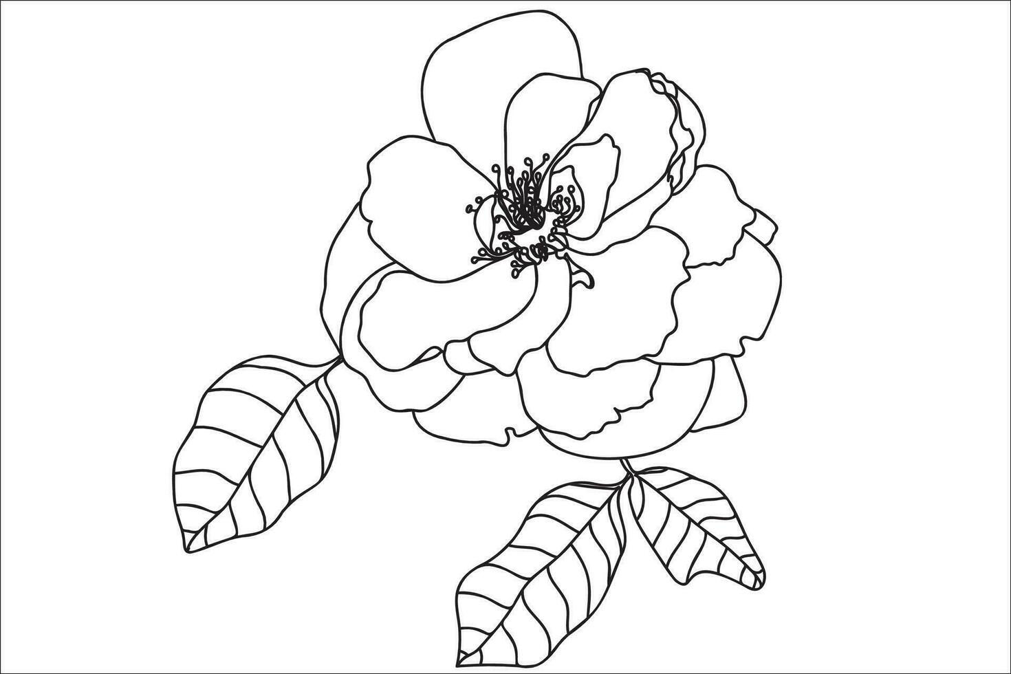 noir et blanc ligne art fleur illustration. Rose contour, contour, illustration avec feuilles. noir mince contour décoration. vecteur
