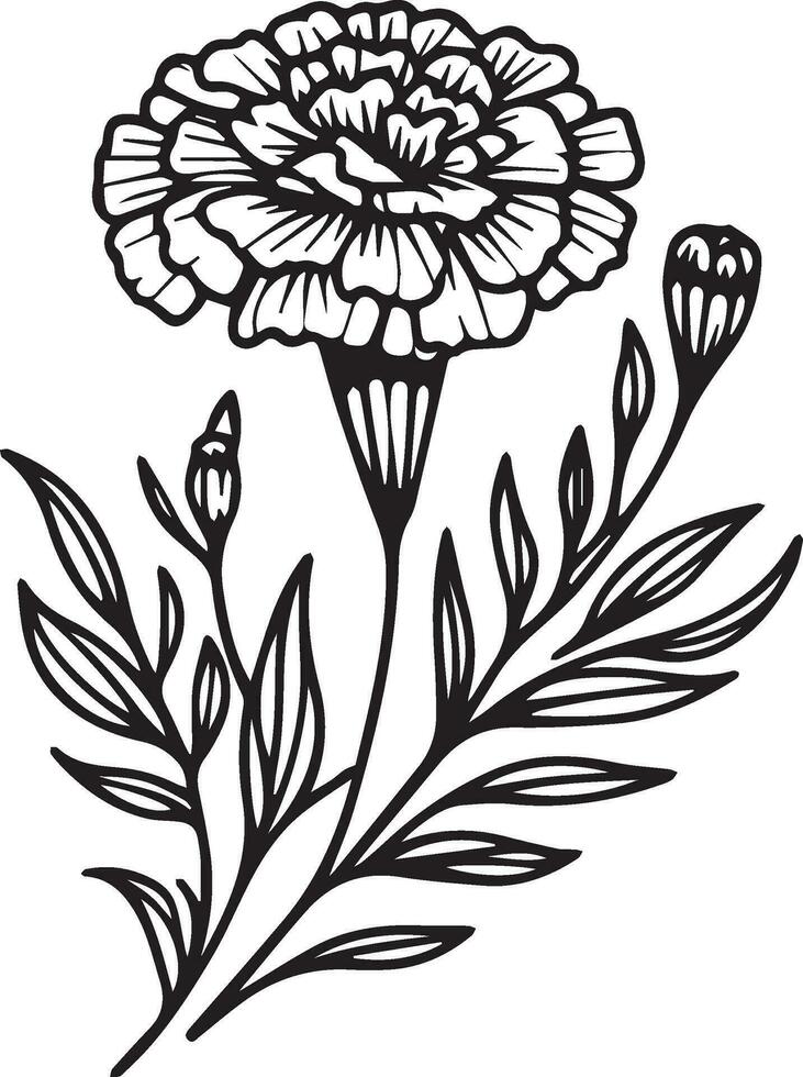 naissance fleur souci griffonnage souci bouquet de fleur conception pour carte ou imprimer. peinte à la main marogold fleurs illustration isolé sur blanc arrière-plans, gravé encre art floral coloration pages vecteur