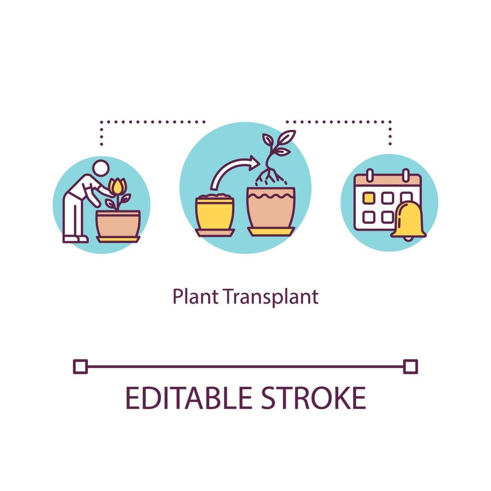 icône de concept de transplantation de plantes vecteur