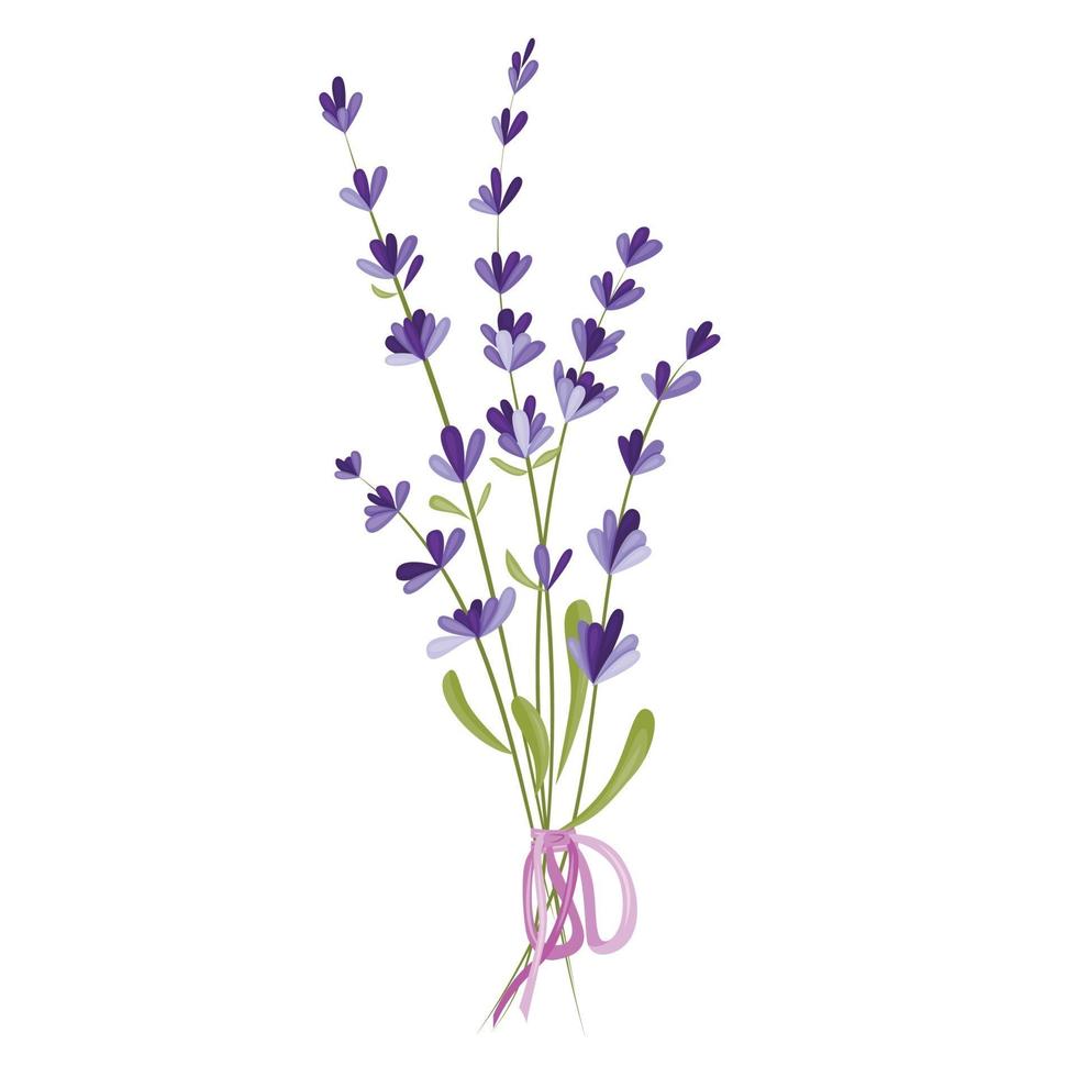 illustration vectorielle d'un bouquet de fleurs de lavande vecteur