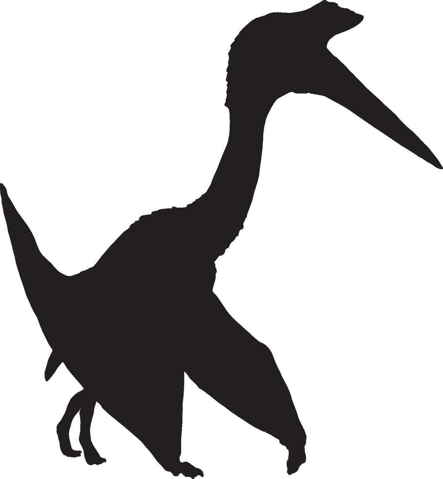 ptérosaure noir silhouette isolé Contexte vecteur