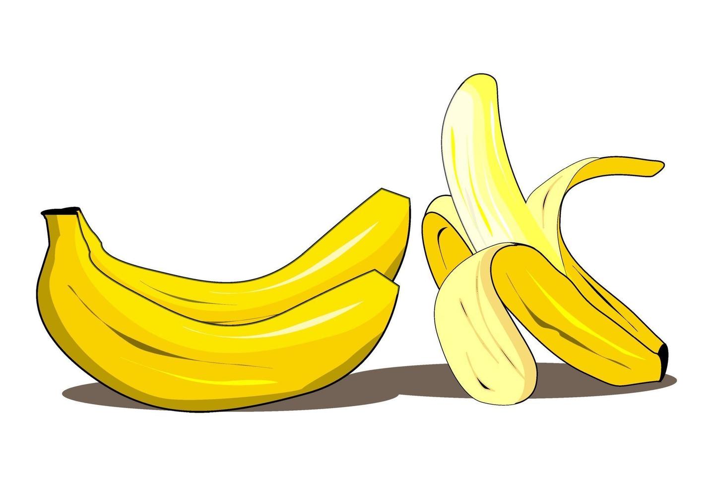 dessin vectoriel d'illustration de fruits frais banane