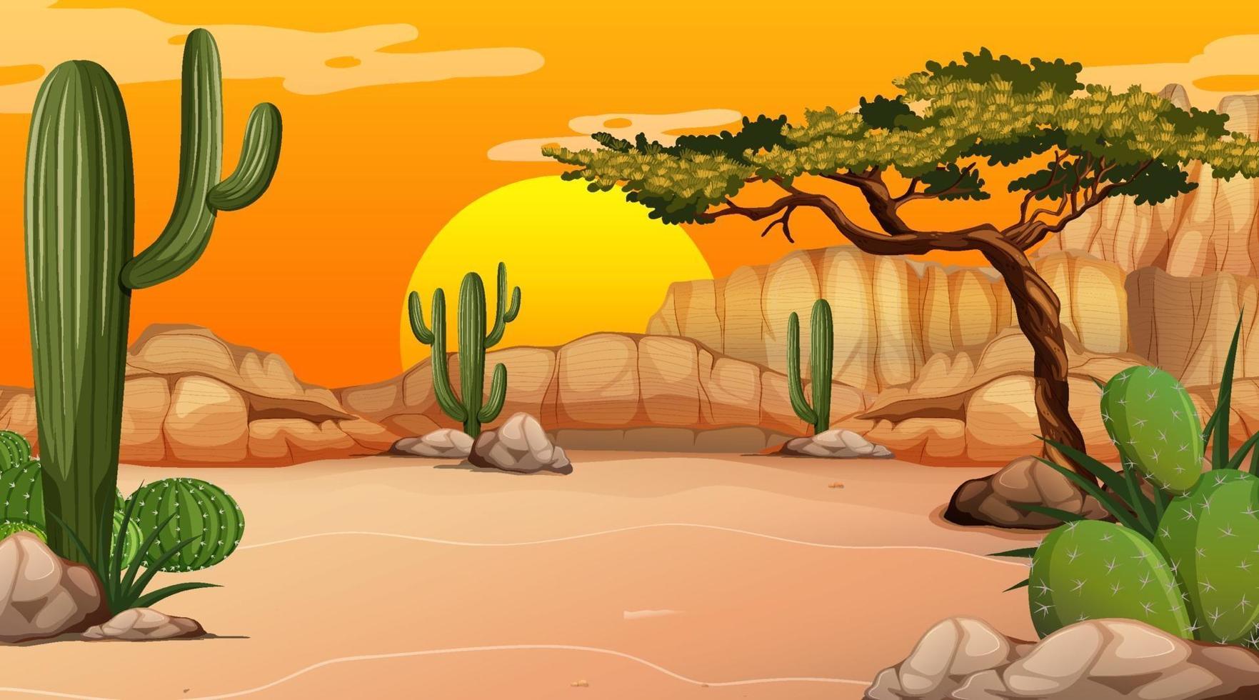paysage de forêt désertique au coucher du soleil scène avec de nombreux cactus vecteur