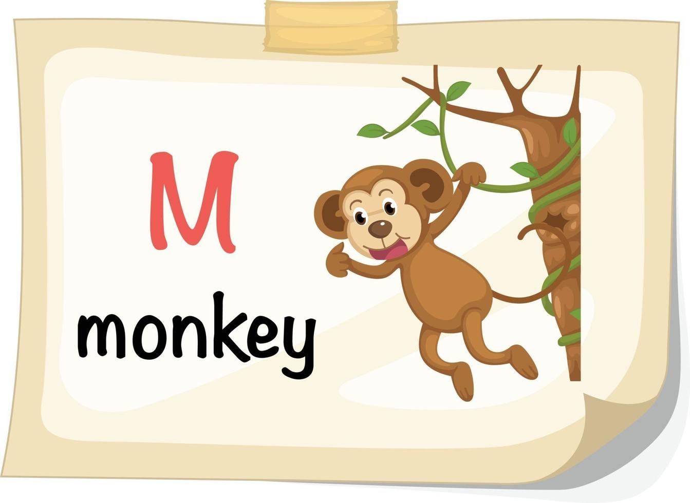 lettre de l'alphabet animal m pour le vecteur d'illustration de singe