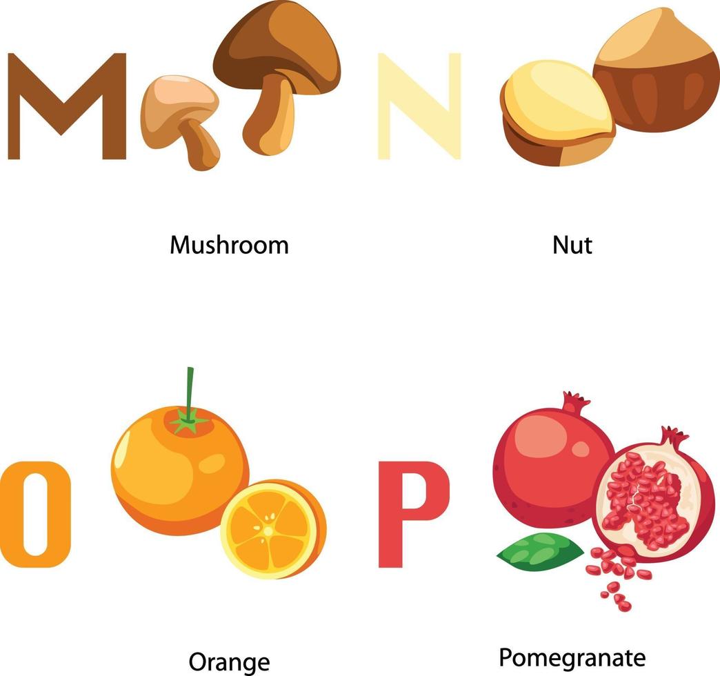 alphabet mp letter.mushroom,nut ,orange,grenade .vector vecteur