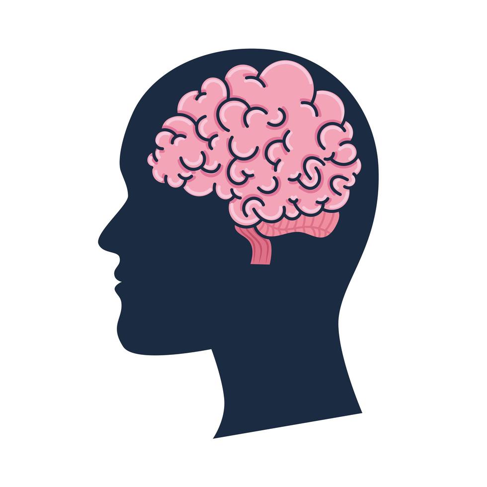 profil humain avec cerveau vecteur