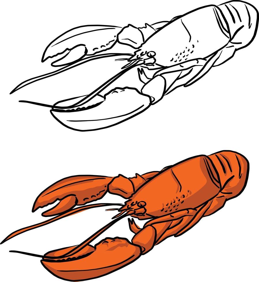 Doodle de croquis d'illustration vectorielle de homard de mer orange vecteur