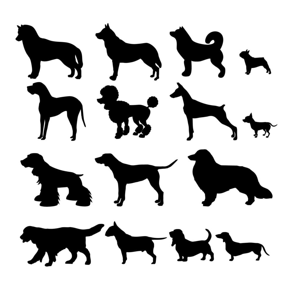 collection de silhouettes de races de chiens vecteur