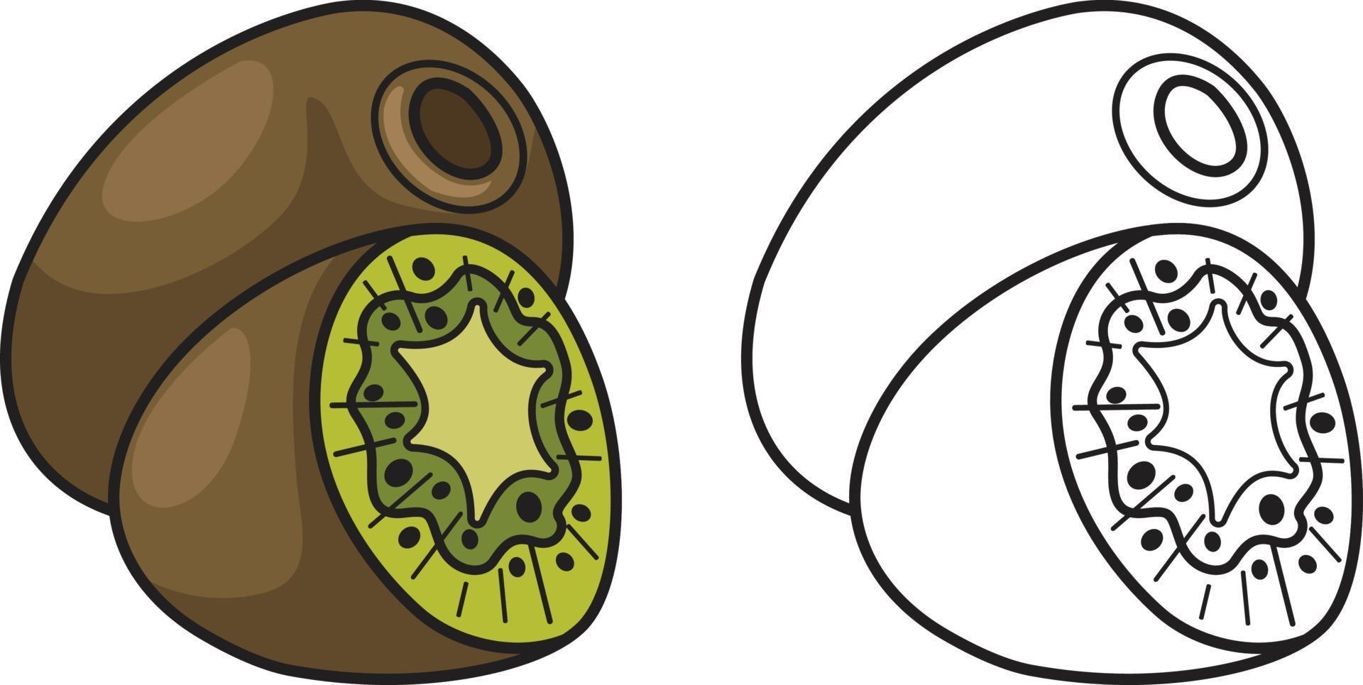 kiwi coloré et noir et blanc pour cahier de coloriage vecteur