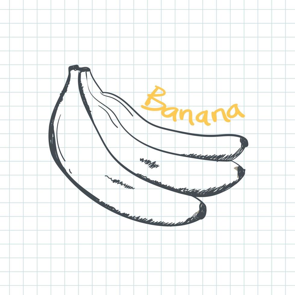 icône de banane dans le croquis de doodle vecteur