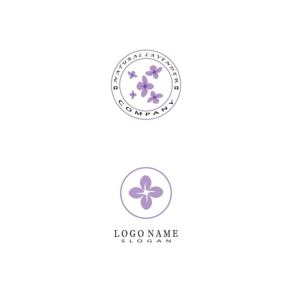 lavande logo modèle vecteur symbole nature