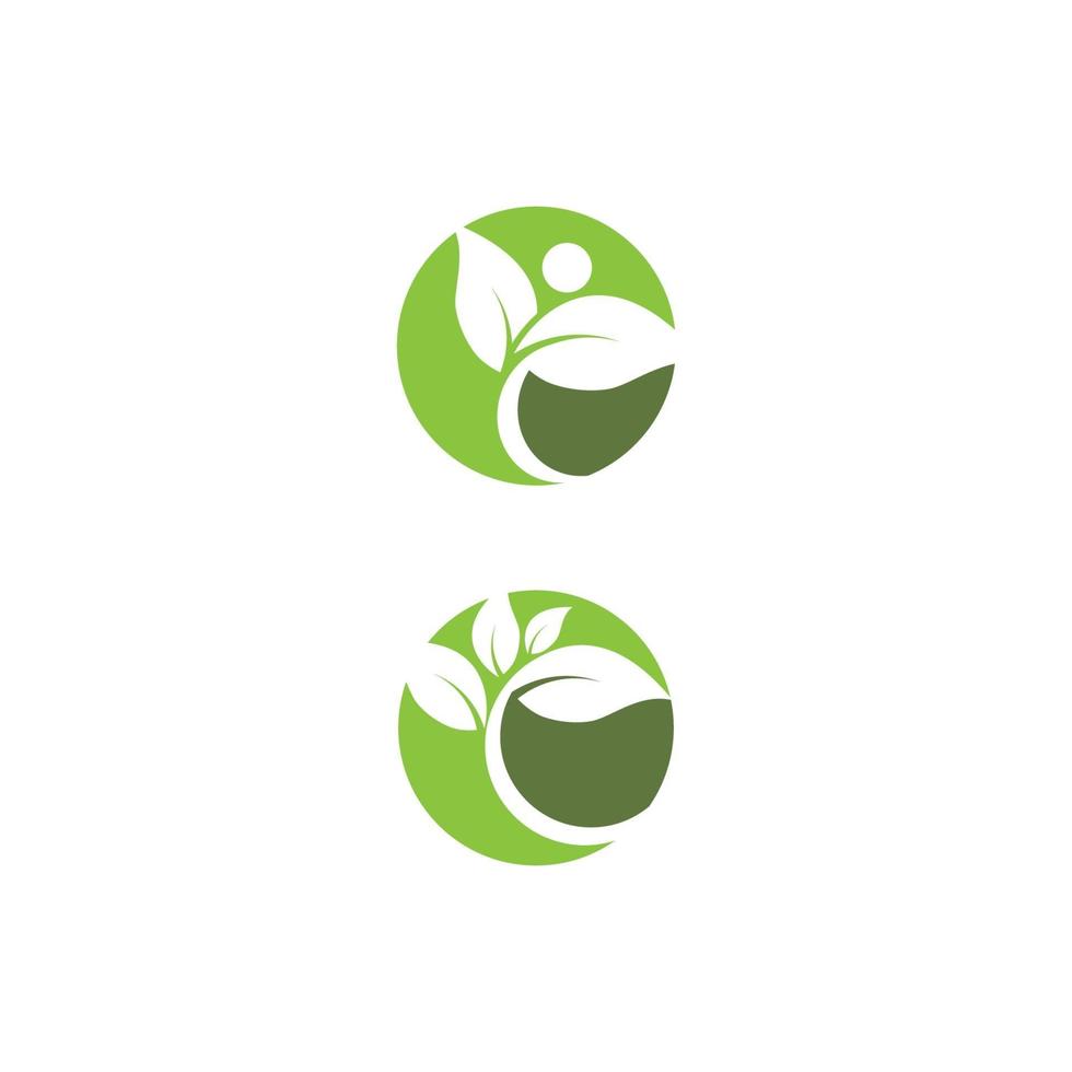 feuille logo modèle vecteur symbole nature
