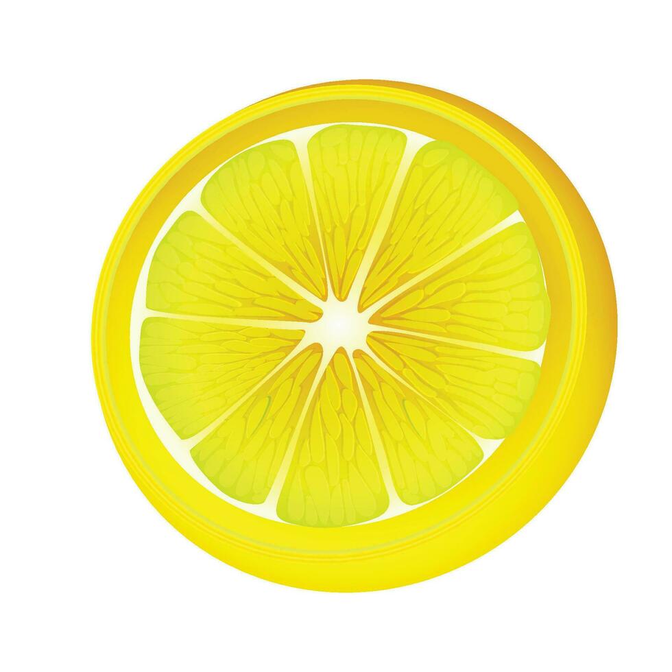 vecteur réaliste des fruits composition avec images de tranché citron fruit sur Vide Contexte