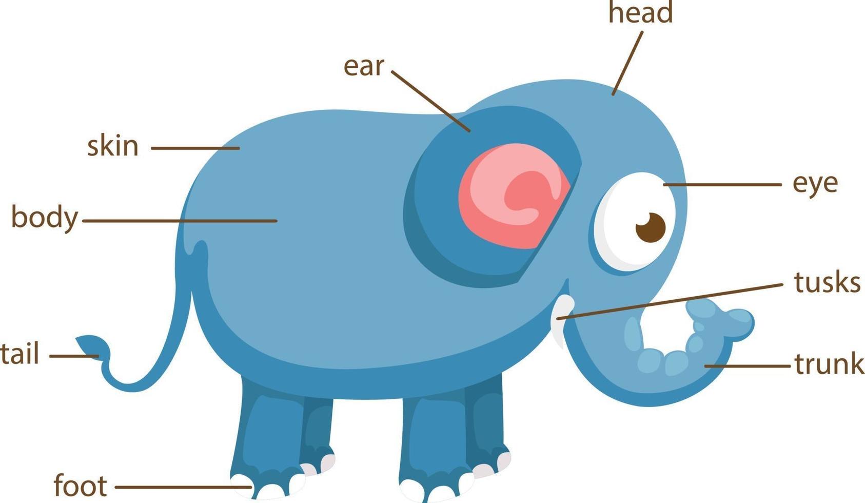 vocabulaire éléphant partie du corps vecteur