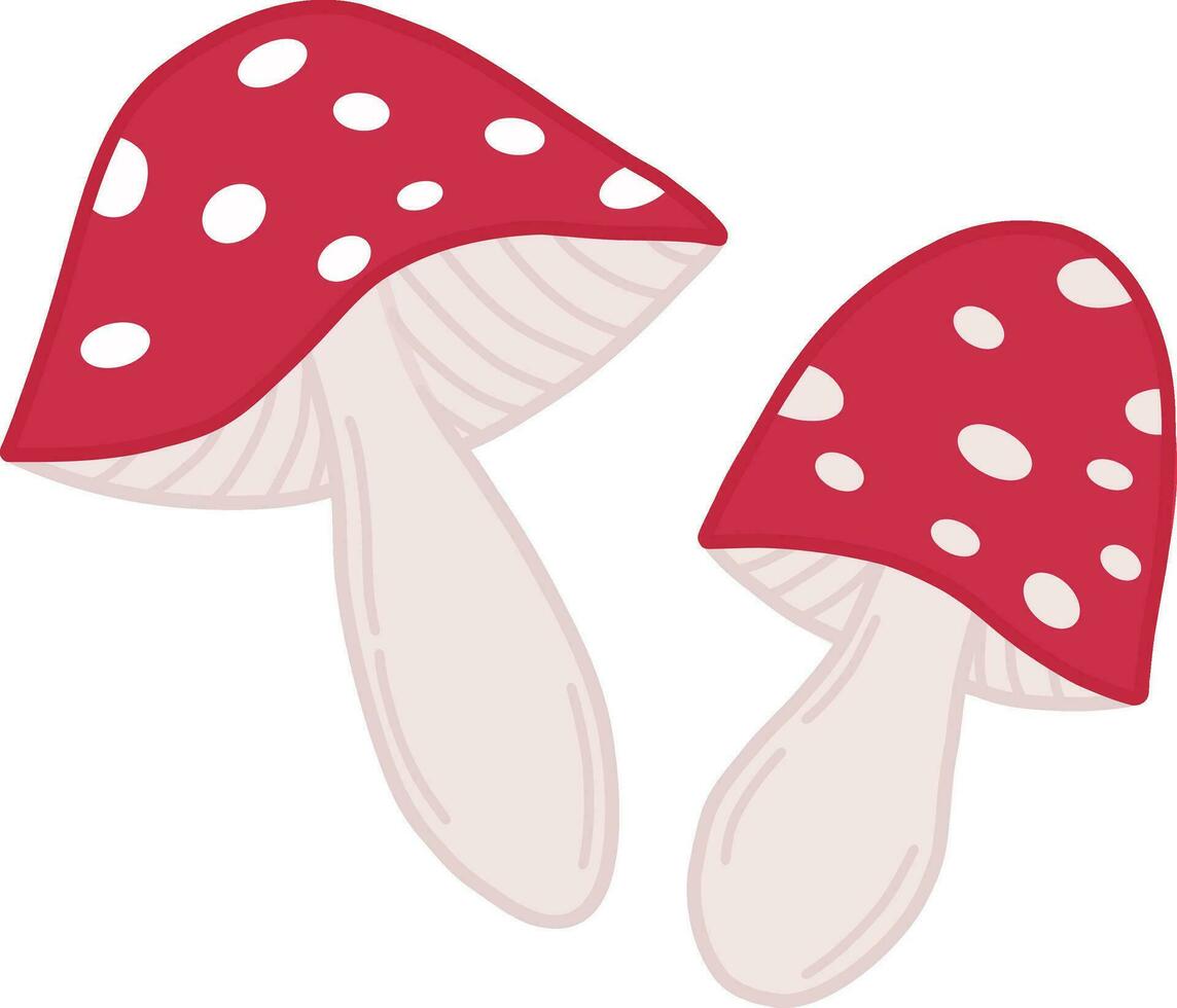 une ensemble de mouche agariques. une rouge toxique champignon Souligné sur une blanc Contexte. vecteur illustration, coloré dessin animé conception