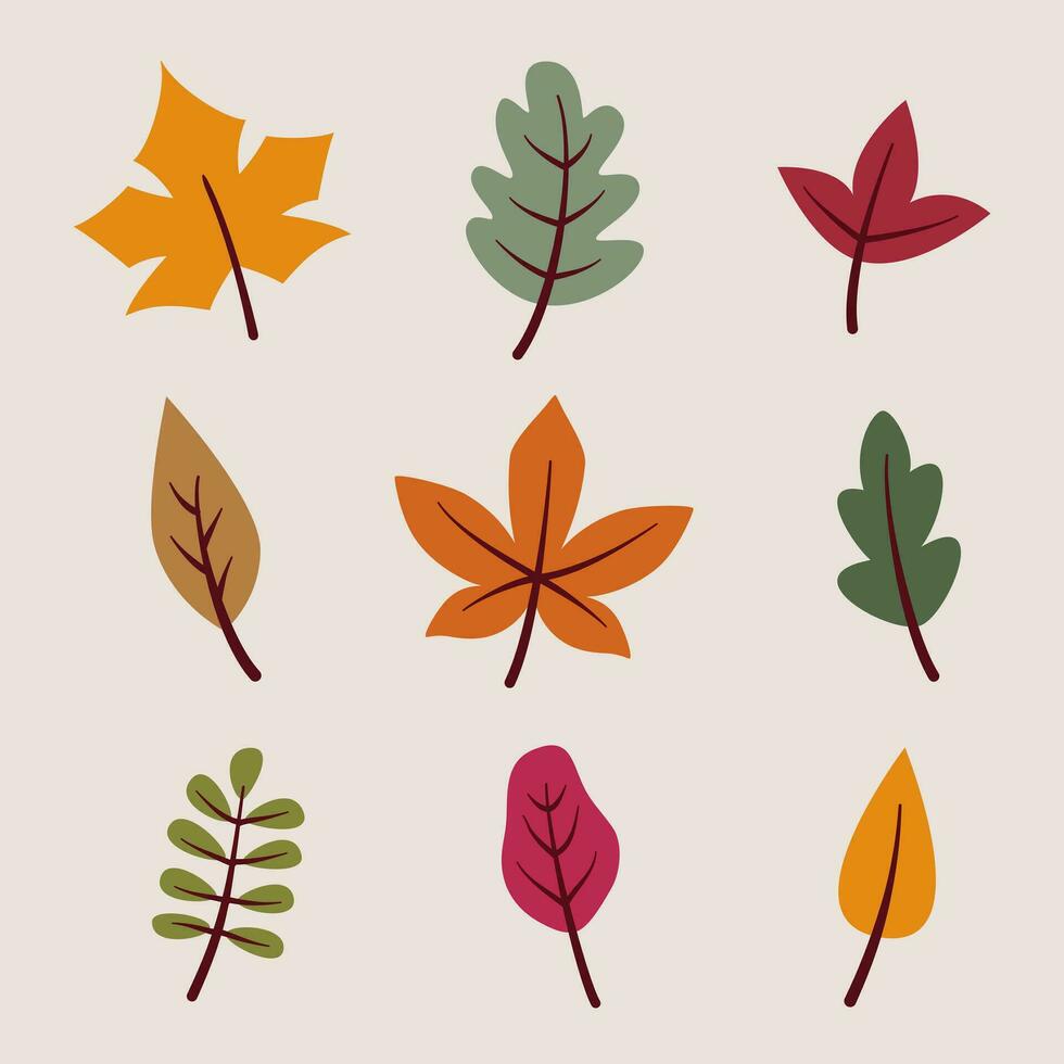 coloré l'automne feuilles ensemble dans plat style. vecteur