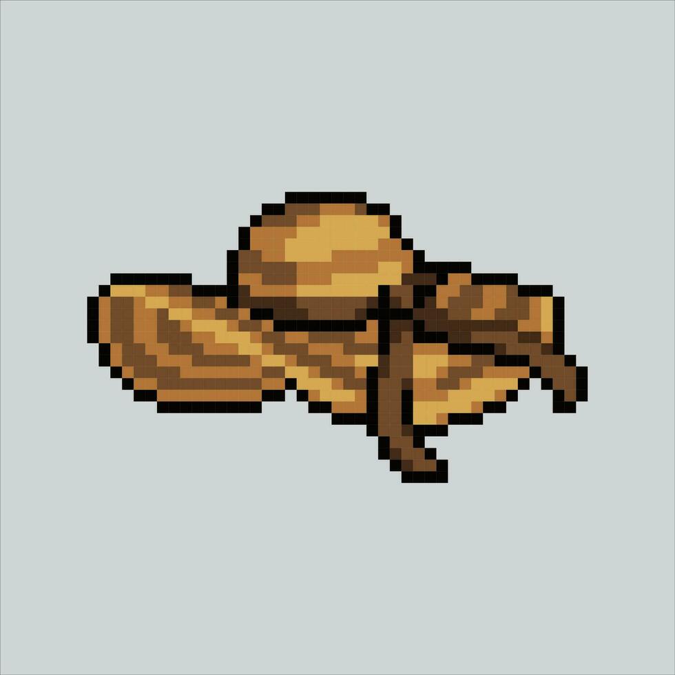 pixel art illustration plage chapeau. pixélisé plage chapeau. paille plage chapeau icône pixélisé pour le pixel art Jeu et icône pour site Internet et vidéo jeu. vieux école rétro. vecteur