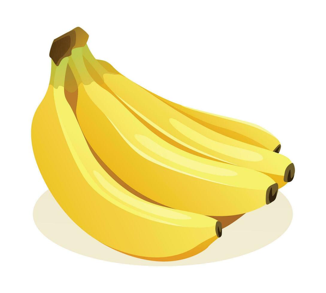 bouquet de bananes vecteur illustration isolé sur blanc Contexte