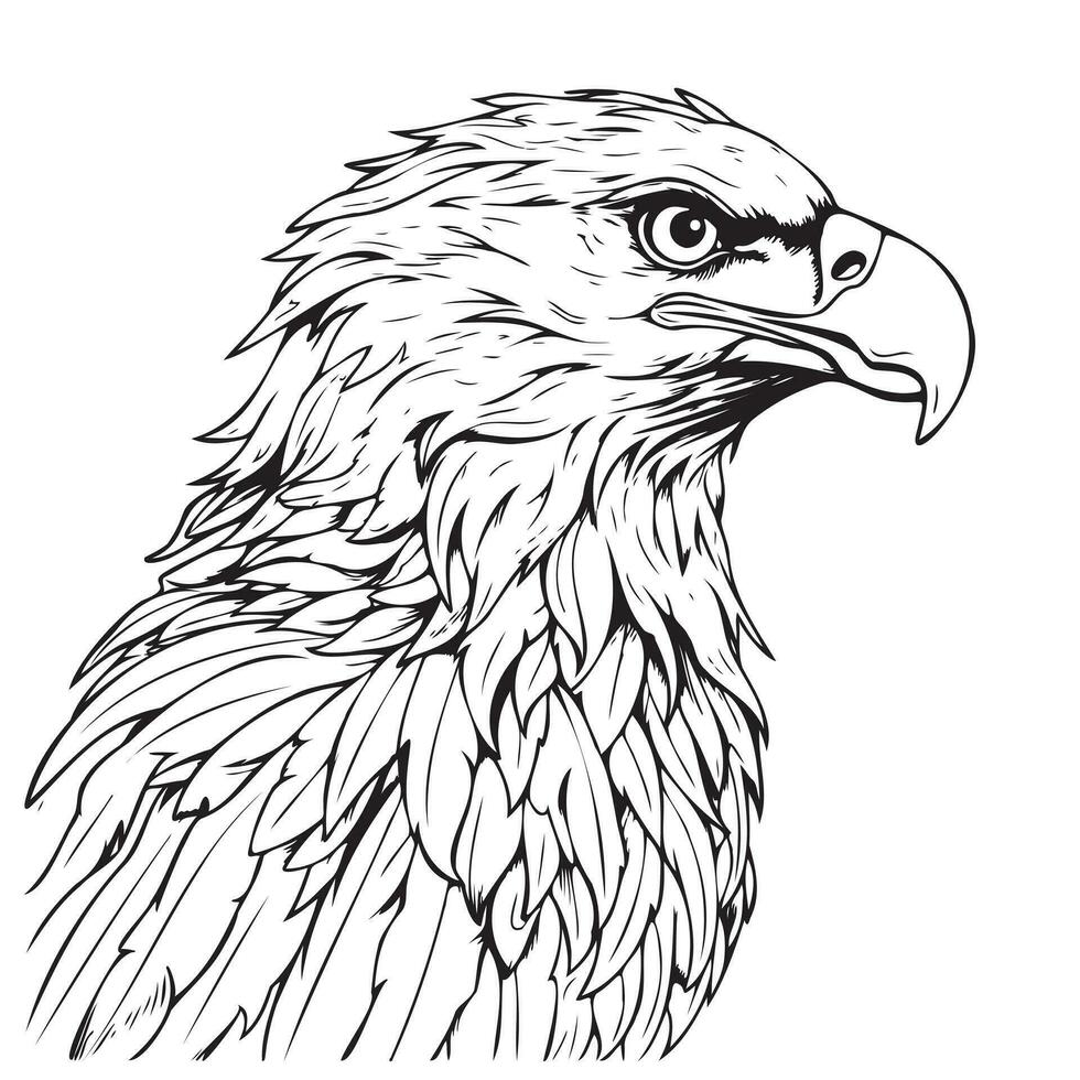 Aigle visage esquisser main tiré vecteur illustration des oiseaux chasse