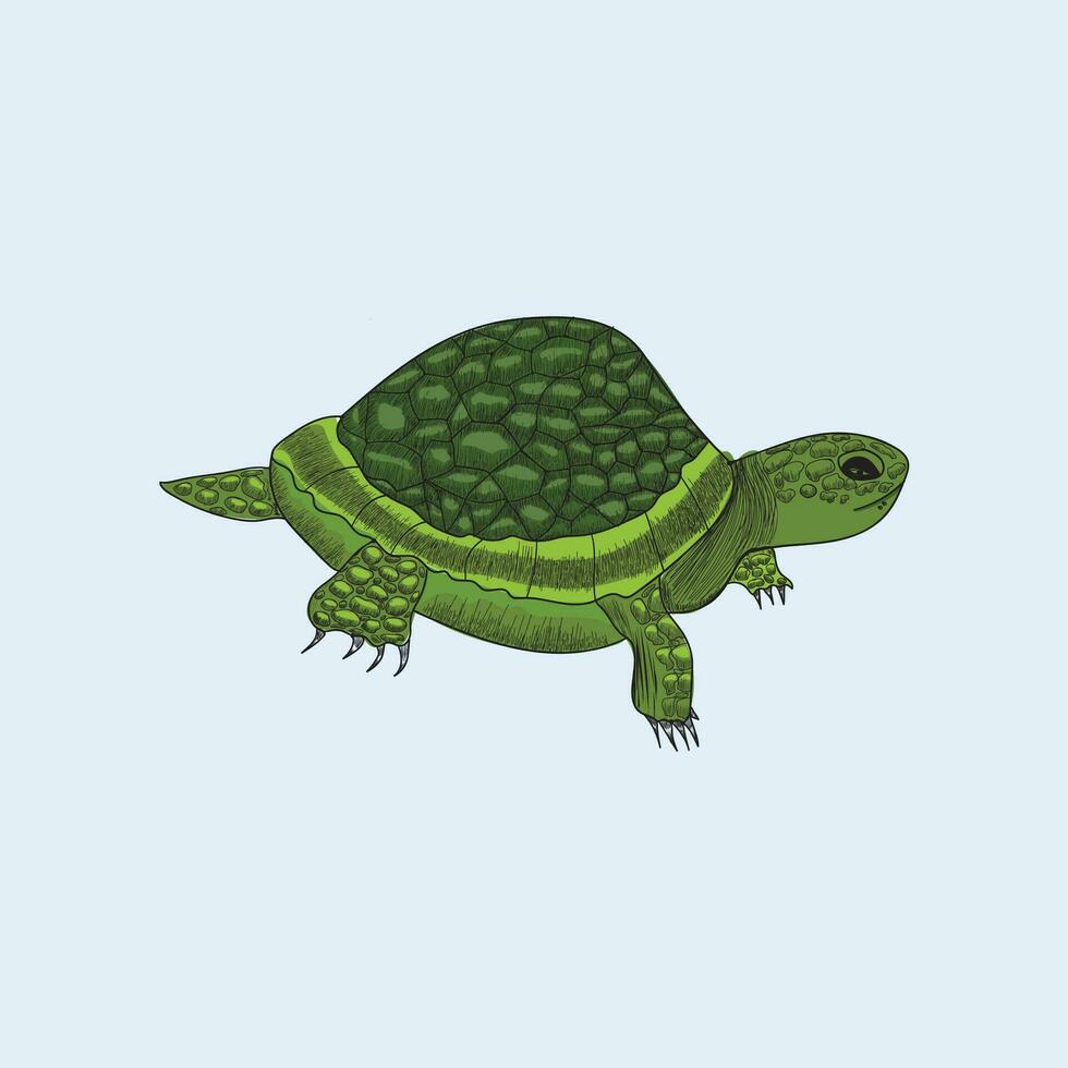 gratuit vecteur main tiré tortue esquisser vecteur illustration conception