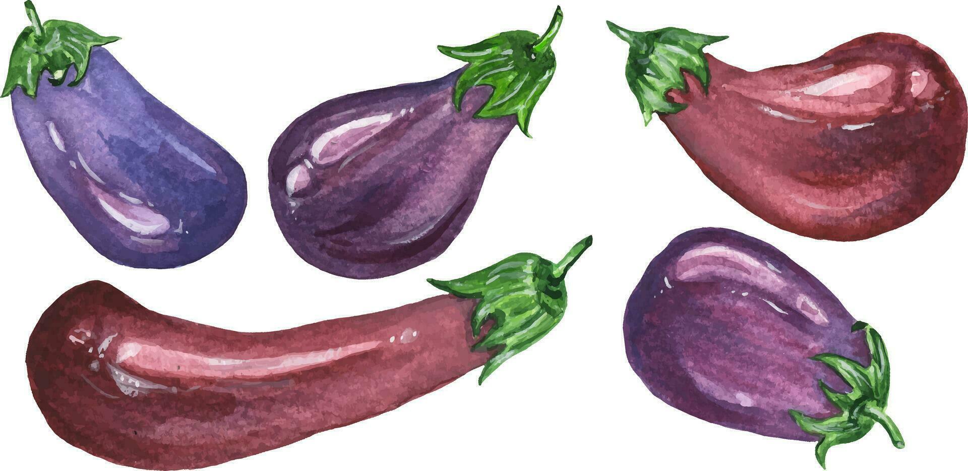 aubergine collection de 5 éléments. vous pouvez créer motifs et des illustrations toi-même, comme bien comme ajouter à autre éléments. vecteur