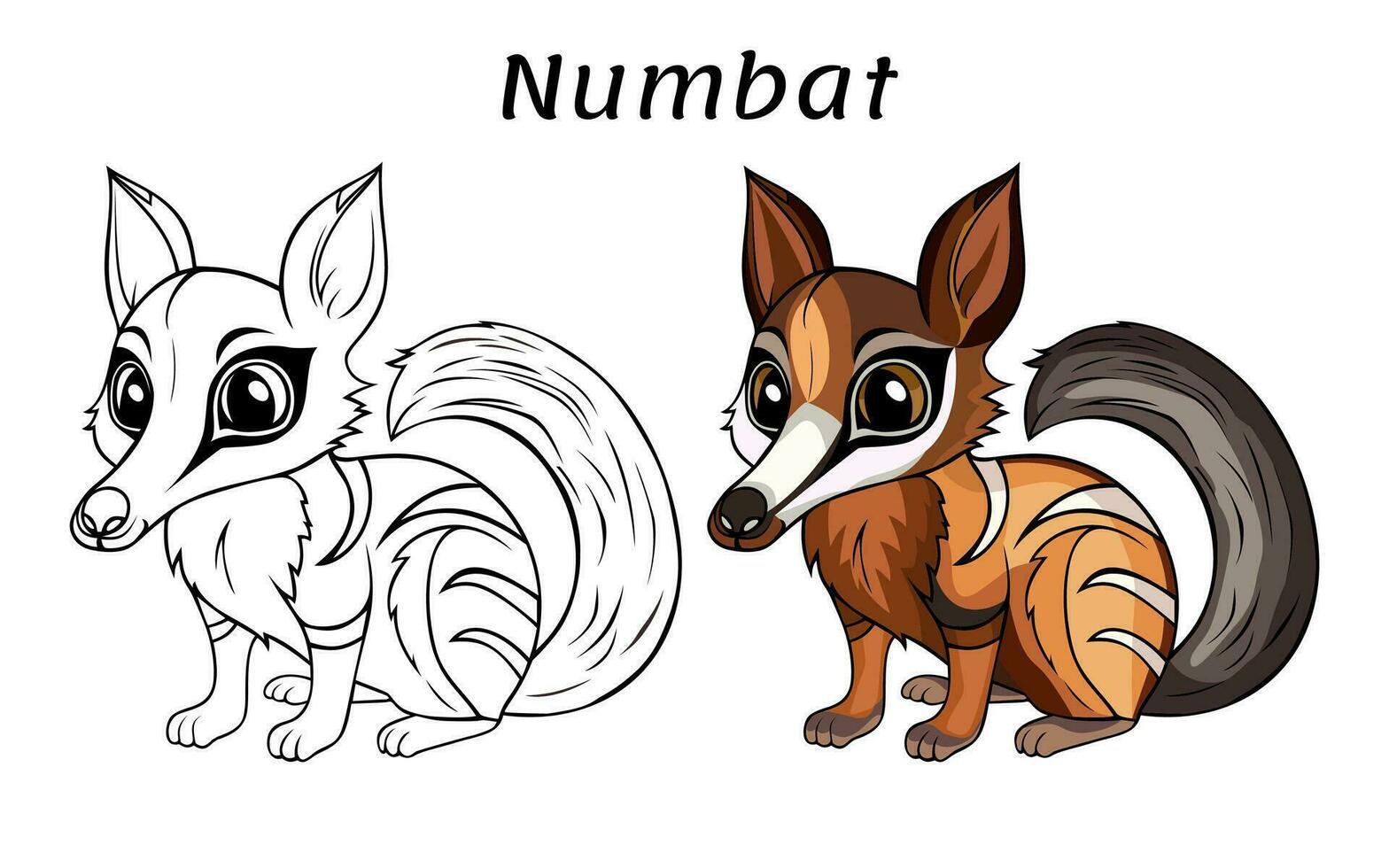 mignonne numbat animal coloration livre illustration vecteur