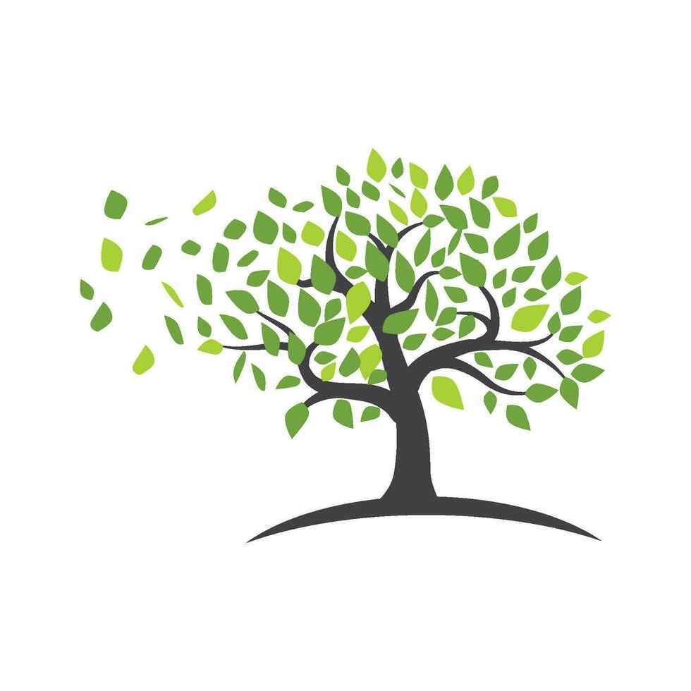 logos de l'écologie des feuilles d'arbre vert vecteur