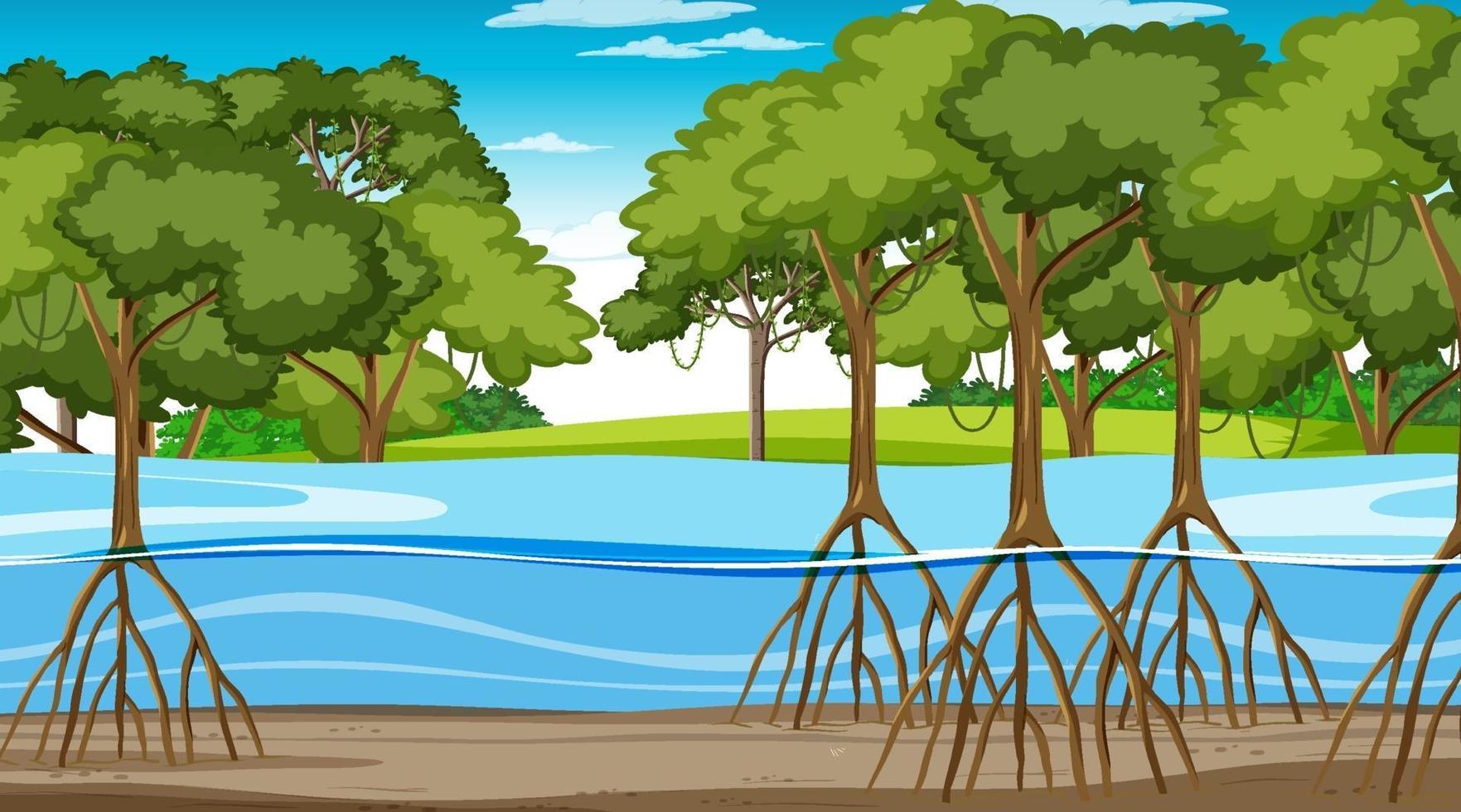 scène de nature avec forêt de mangrove pendant la journée en style cartoon vecteur