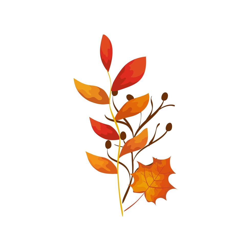 branche d'automne de saison avec des feuilles vecteur