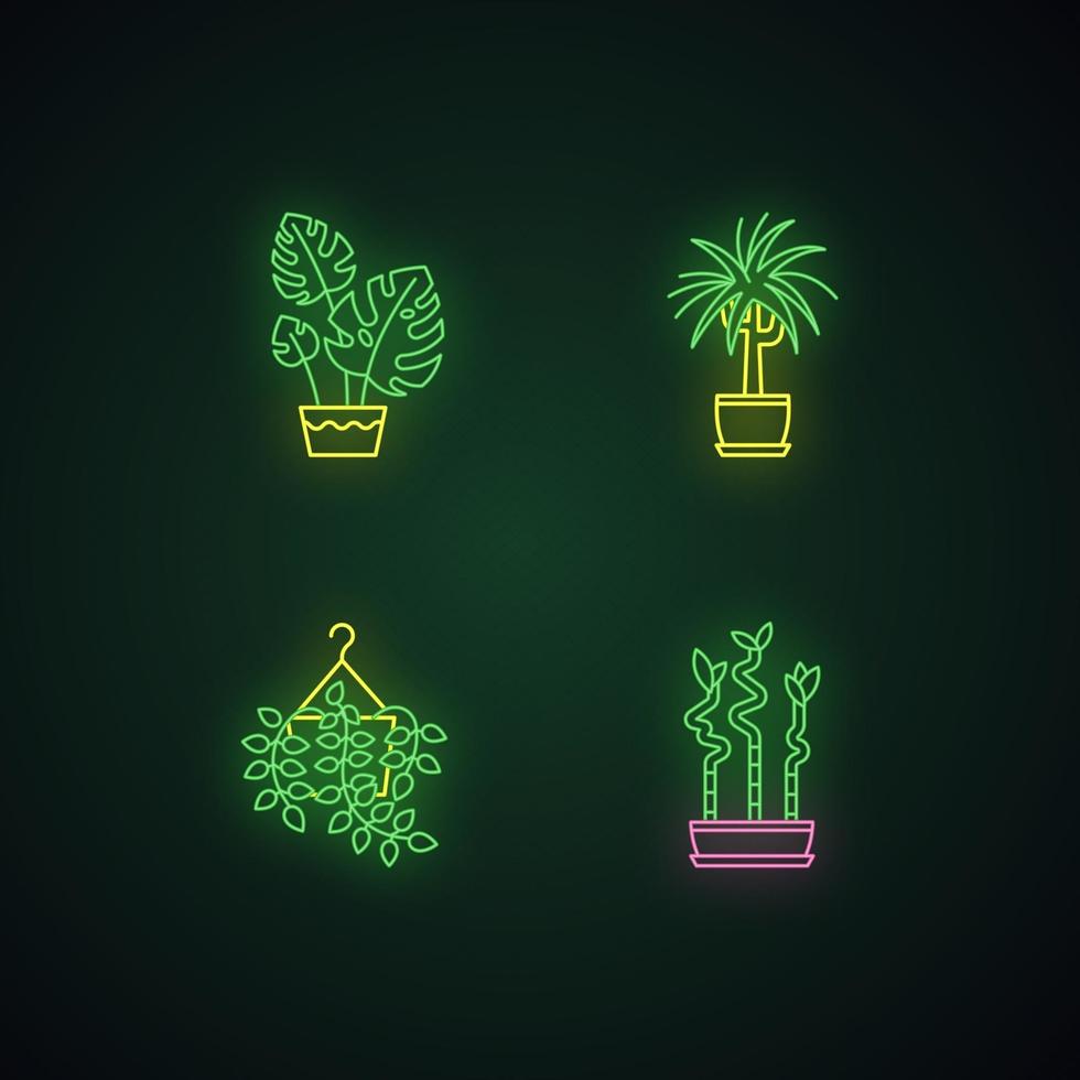 Ensemble d'icônes de néon de plantes domestiquées vecteur