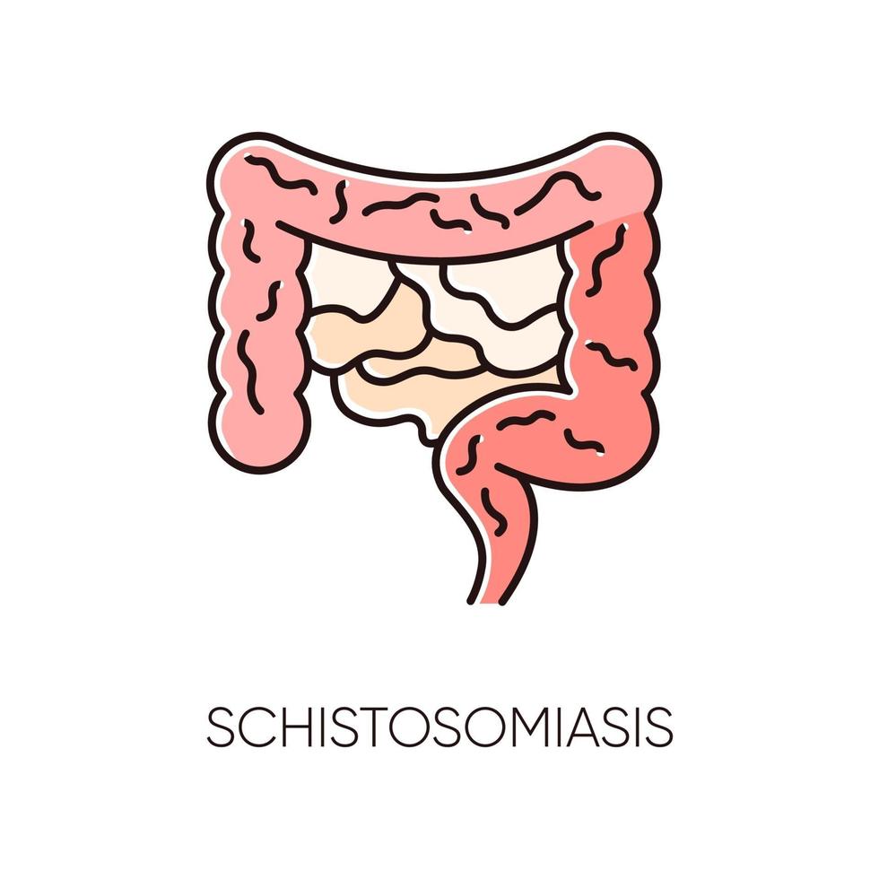 icône de couleur rvb schistosomiase vecteur