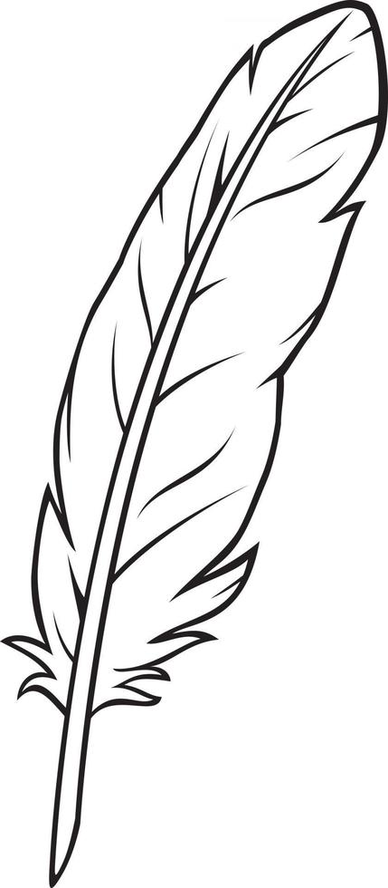 plume d'oiseau blanc vecteur