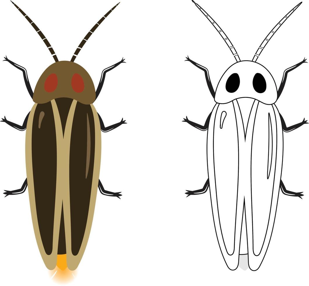 illustration vectorielle de luciole ou lampyridae vecteur