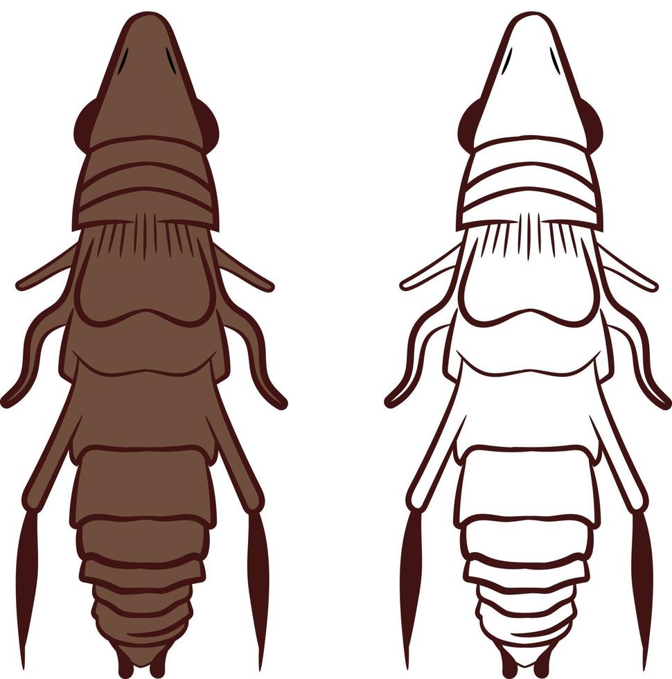 illustration vectorielle de puces ou de siphonaptères vecteur