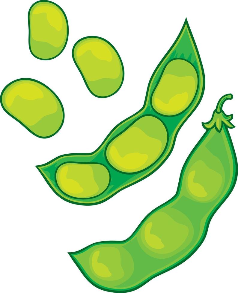 icône de légume de soja vecteur