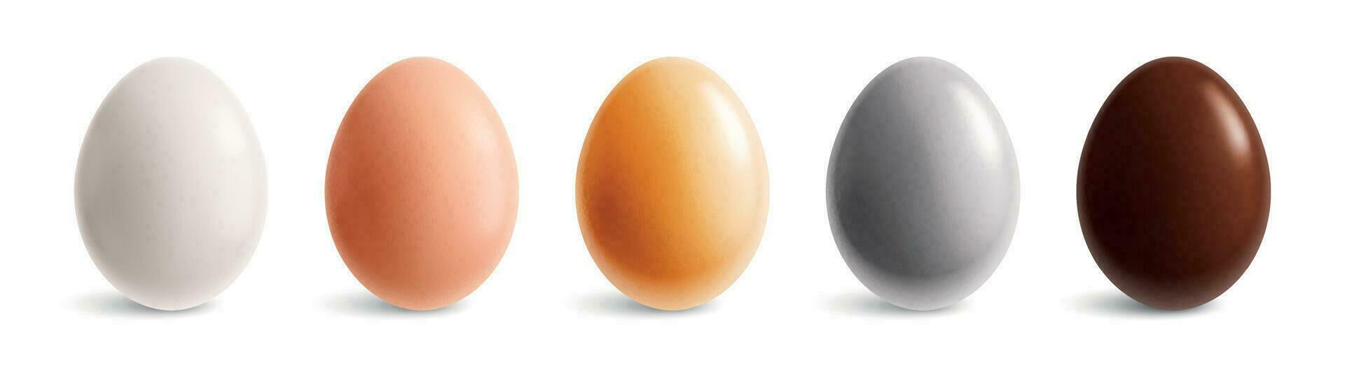 coloré des œufs réaliste ensemble vecteur