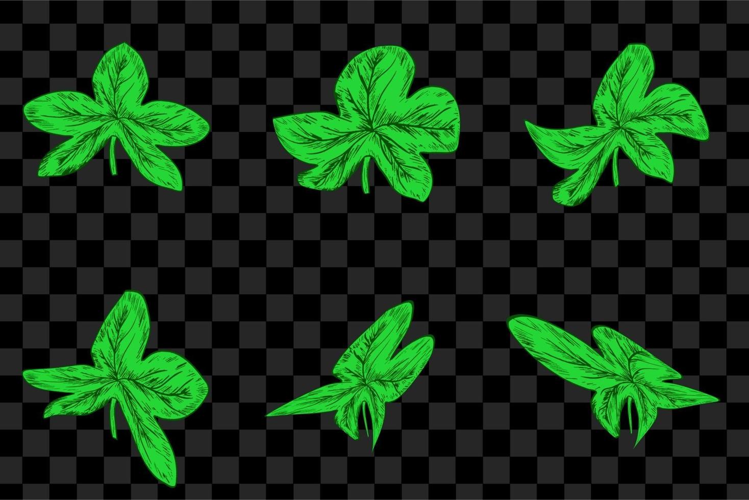 ensemble de feuilles vertes illustration de style dessiné à la main graphique de feuille vecteur