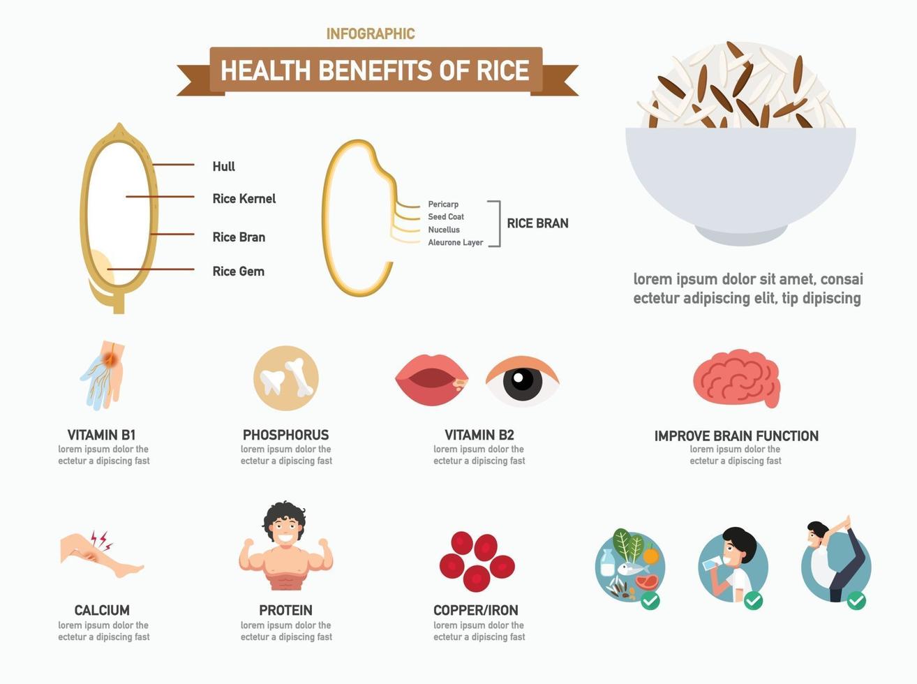 bienfaits pour la santé du riz infographics.vector vecteur