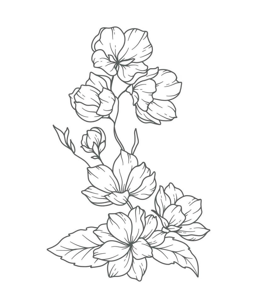 Cerise fleur ligne art. Cerise fleur contour illustration. Mars naissance mois fleur. Cerise fleur contour isolé sur blanche. main peint ligne art botanique illustration. vecteur