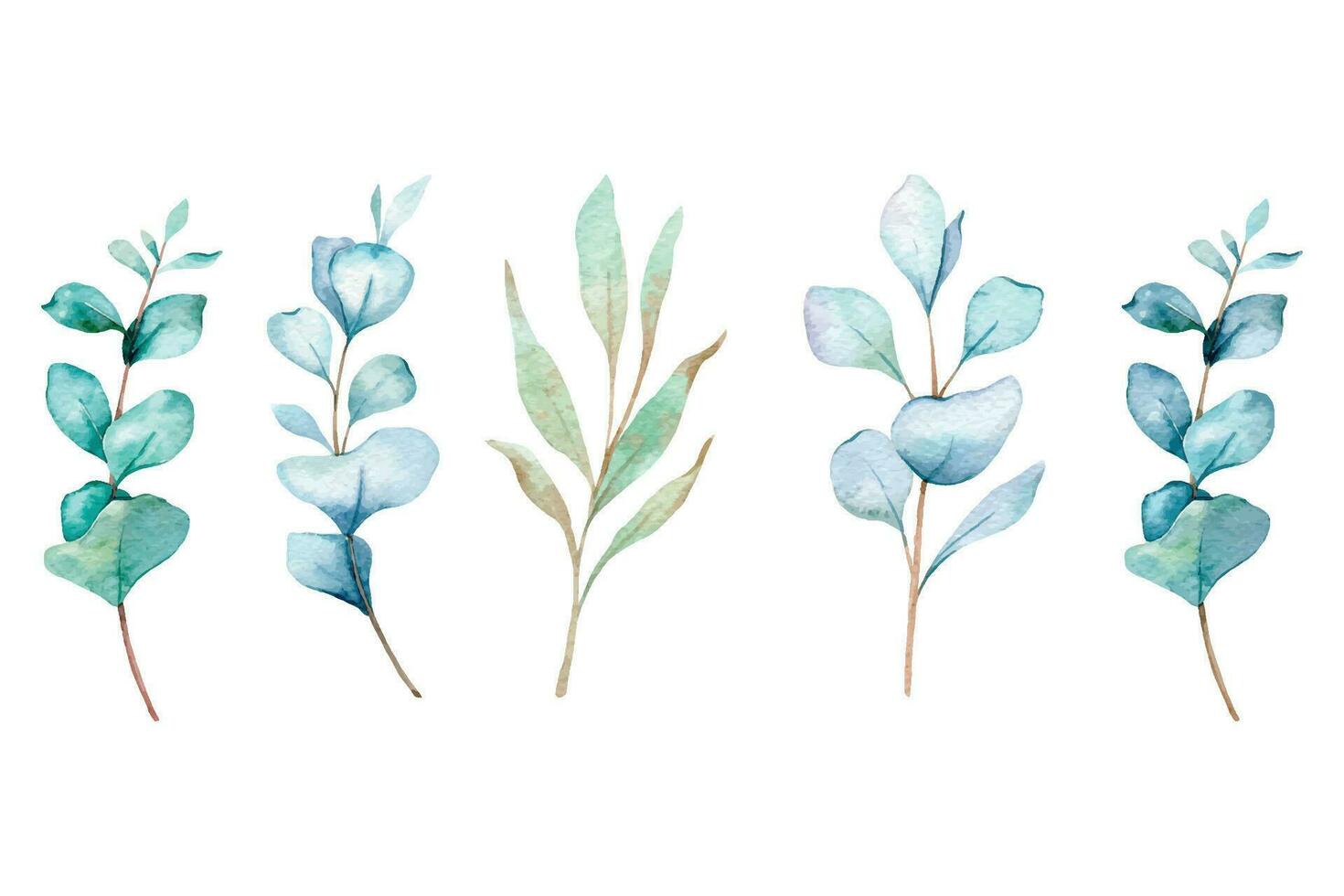 eucalyptus aquarelle illustration. eucalyptus verdure main peint isolé sur blanc Contexte. parfait pour mariage faire-part, floral Étiquettes, de mariée douche et floral salutation cartes vecteur