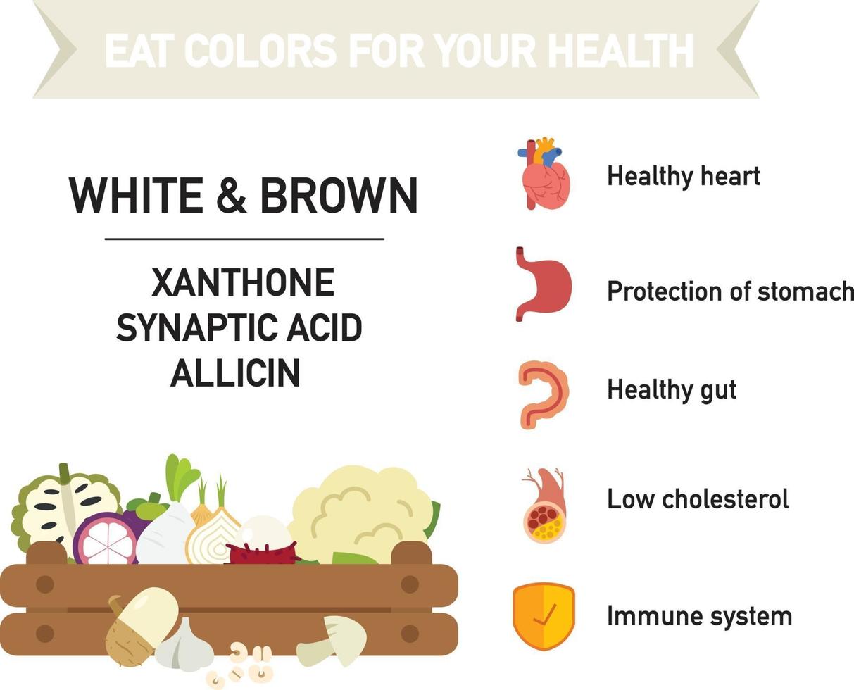 mangez des couleurs pour votre santé vecteur